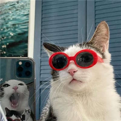 جاوید میان داد avatar